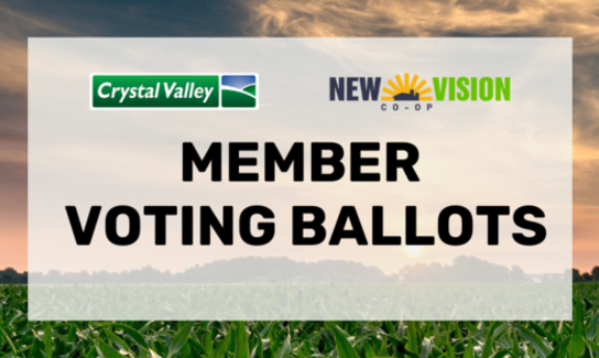 Ee Meeting Timeline 2 3